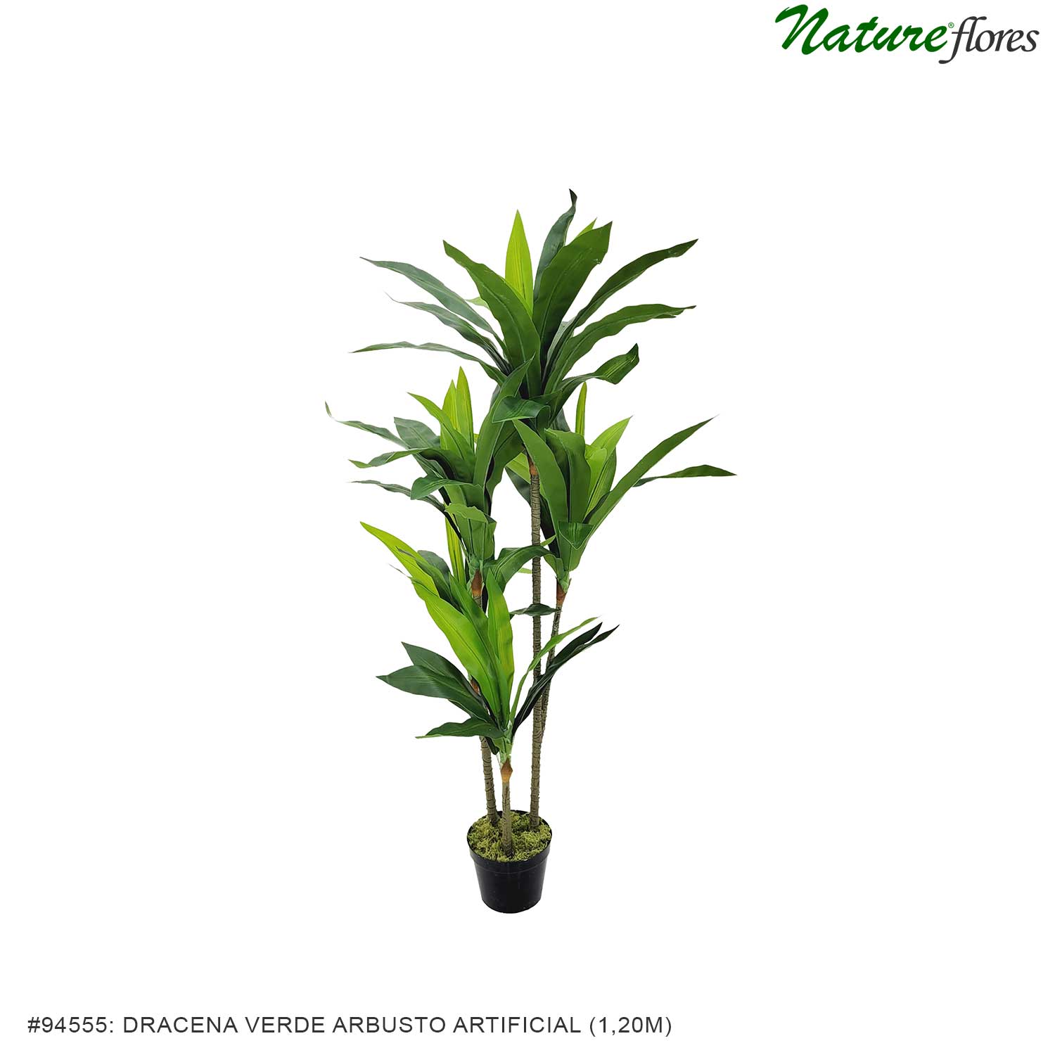 Dracena Verde Arbusto Artificial - Imagem 3