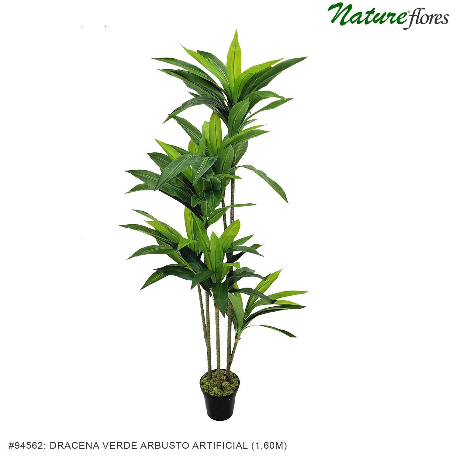 Dracena Verde Arbusto Artificial - Imagem 2
