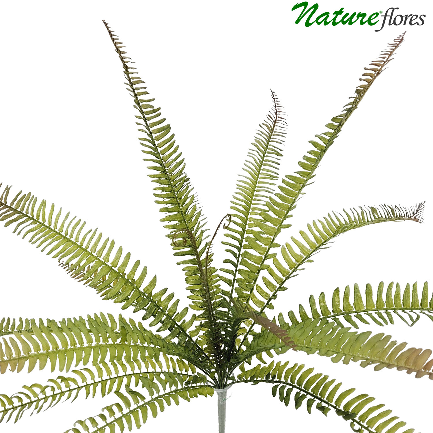 Samambaia Folhagem Pendente Artificial (72cm) - Imagem 4