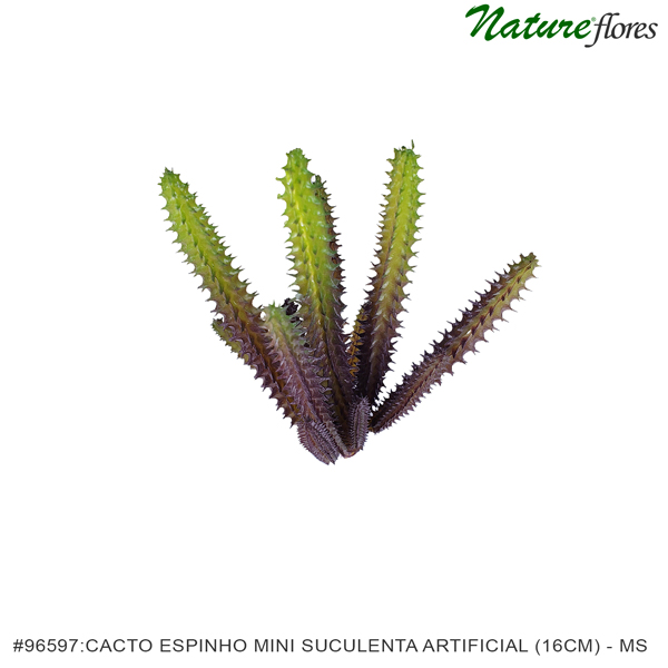 Cacto Espinho Mini Suculenta Artificial (16cm) - Imagem 3