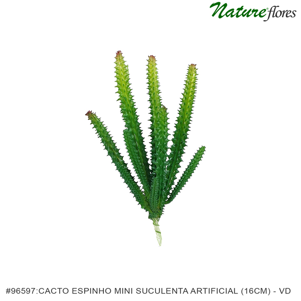 Cacto Espinho Mini Suculenta Artificial (16cm) - Imagem 4