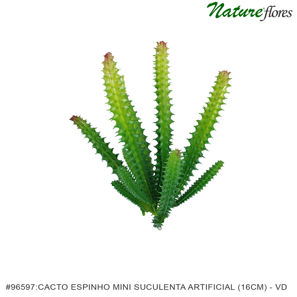 Cacto Espinho Mini Suculenta Artificial (16cm) - Imagem 5