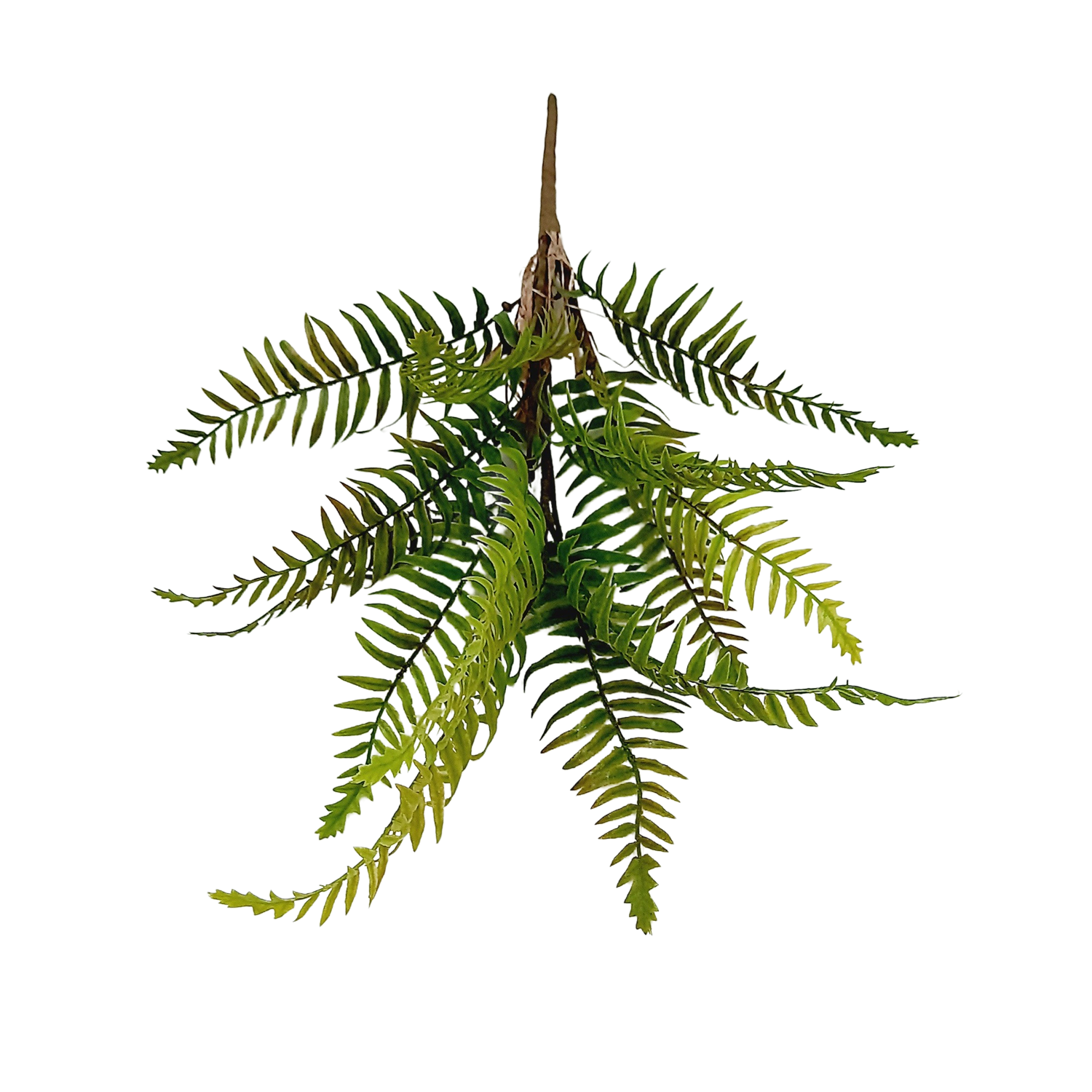 Samambaia Buquê Folhagem Artificial (60cm) - Imagem 6