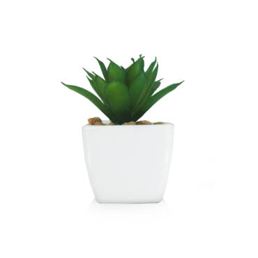 Cacto Agave em Vaso Cerâmico (8cm)