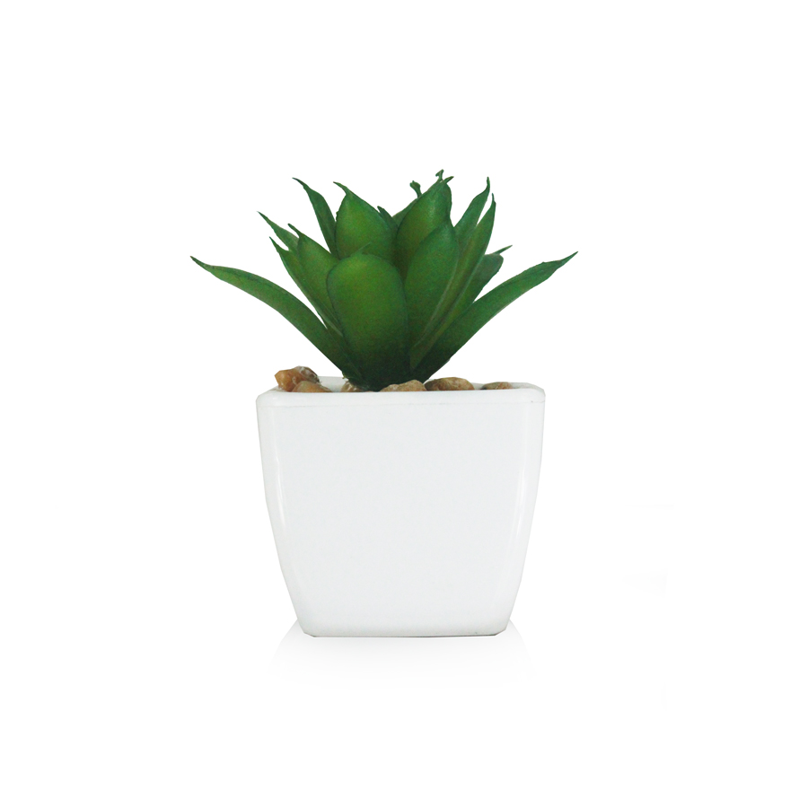 Cacto Agave em Vaso Cerâmico (8cm)