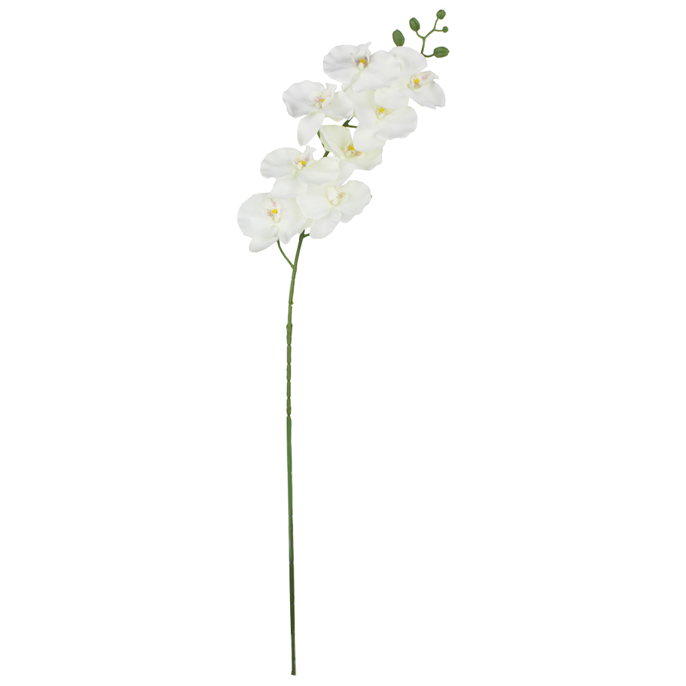 Orquídea Phalaenopsis (1,00m)