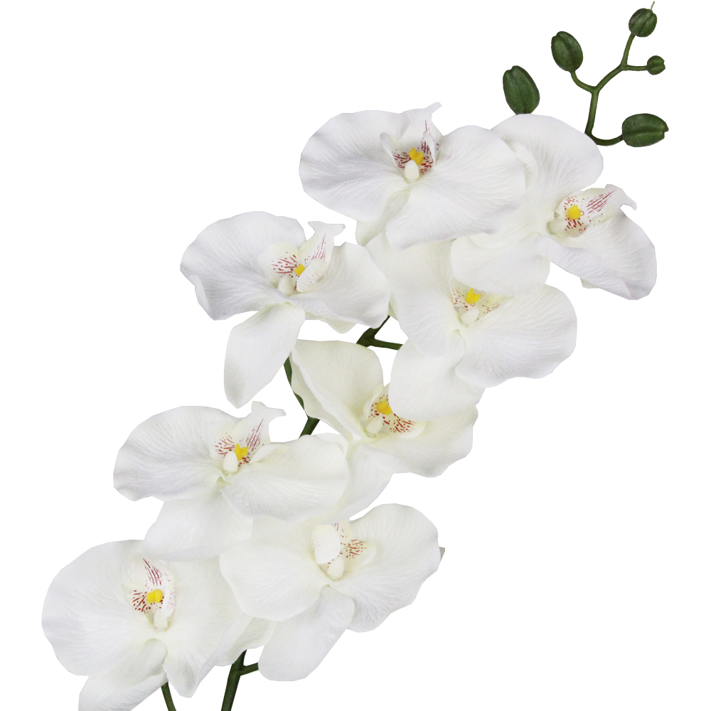Orquídea Phalaenopsis (1,00m) - Imagem 2