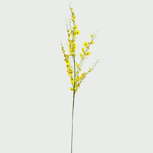 Chuva de Ouro Permanente (1,12m) - Imagem 3