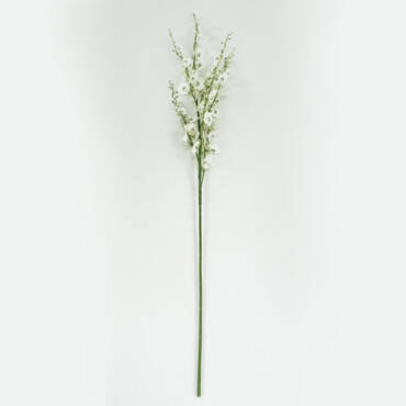 Chuva de Ouro Permanente (1,12m)