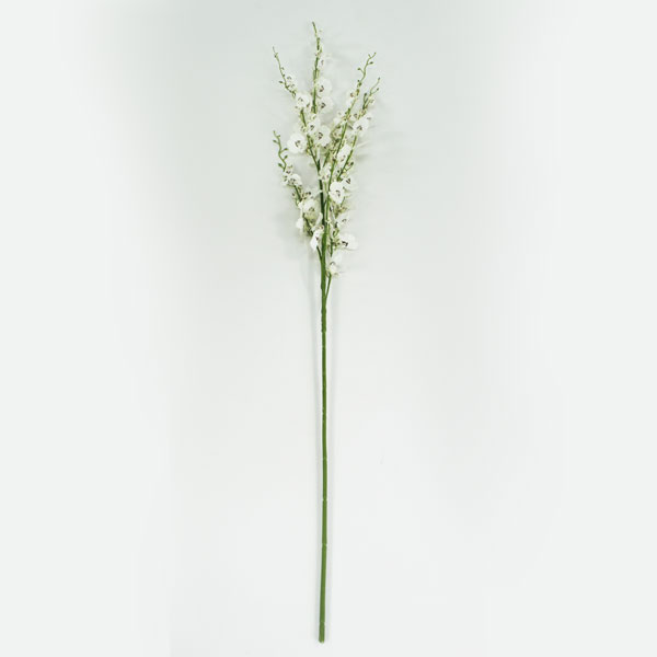 Chuva de Ouro Permanente (1,12m)