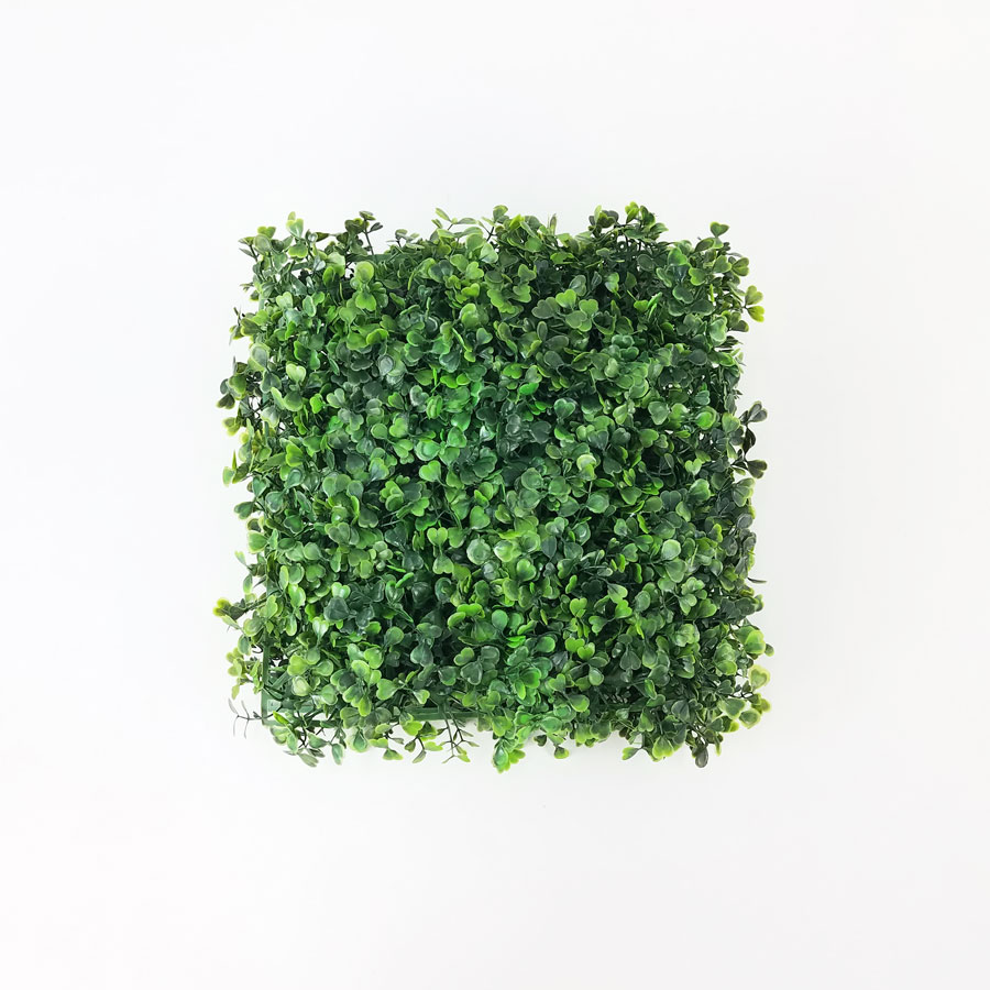 Placa de Buxinho Jardim Vertical Artificial (25x25cm)