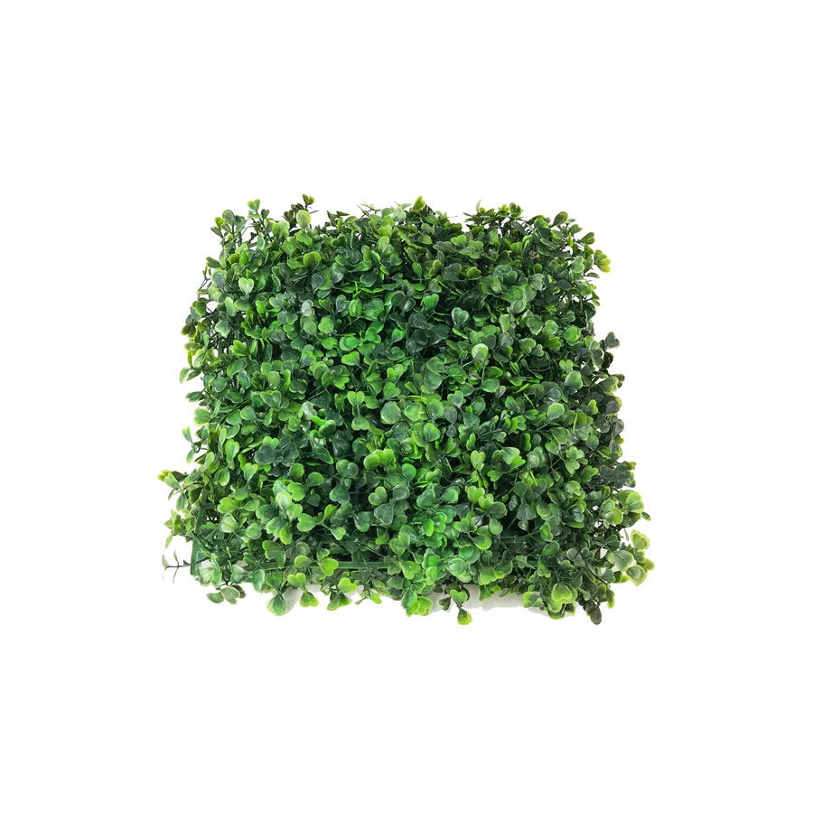 Placa de Buxinho Jardim Vertical Artificial (25x25cm) - Imagem 3