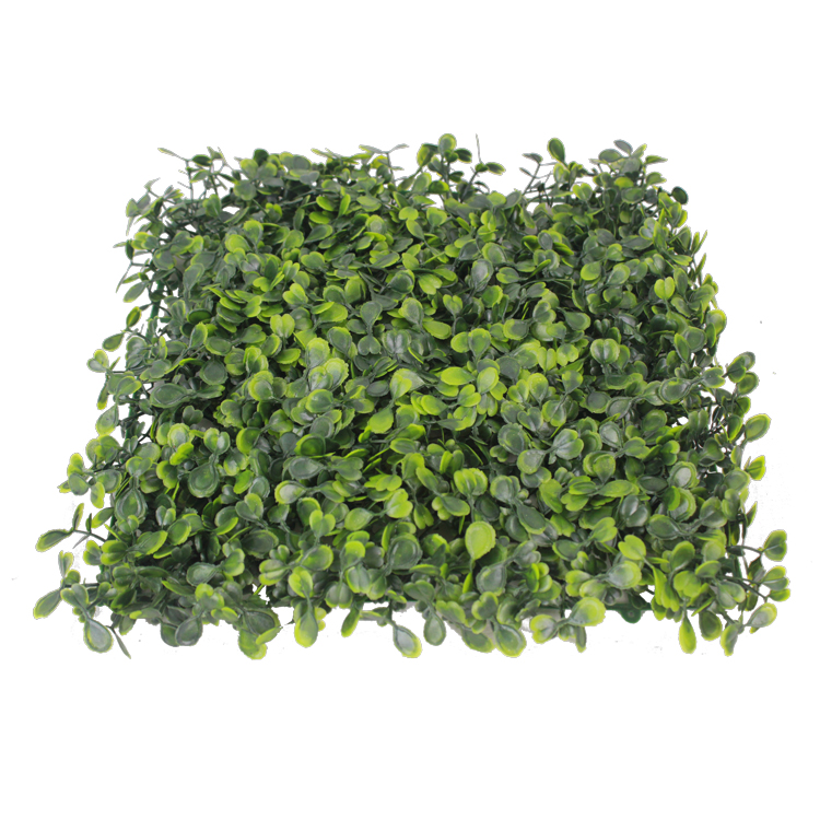 Placa de Buxinho Jardim Vertical Artificial (25x25cm) - Imagem 5