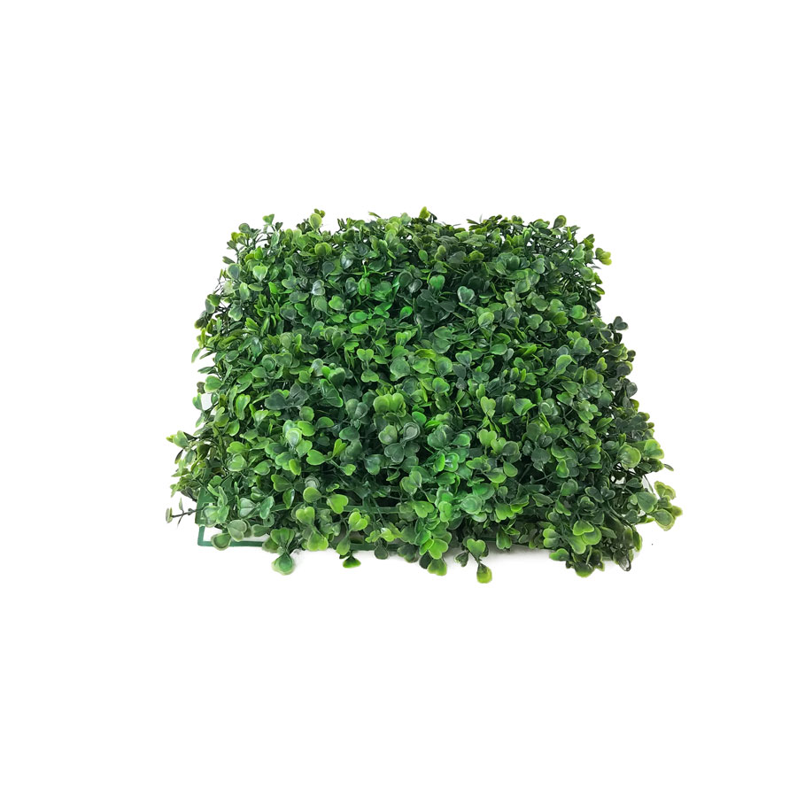 Placa de Buxinho Jardim Vertical Artificial (25x25cm) - Imagem 2
