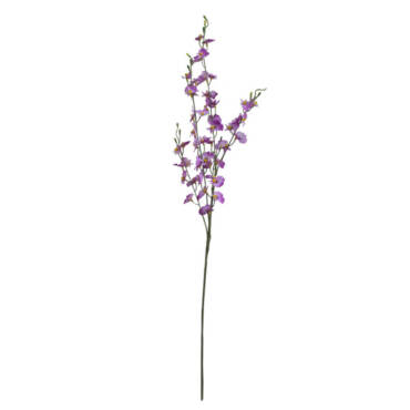 Chuva de Ouro lilás (90cm)