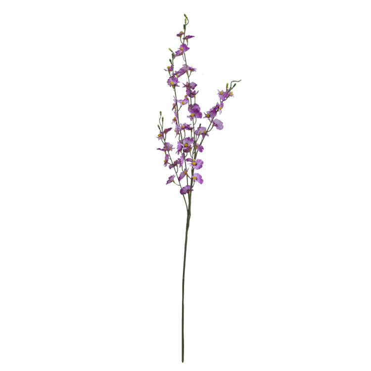 Chuva de Ouro lilás (90cm)