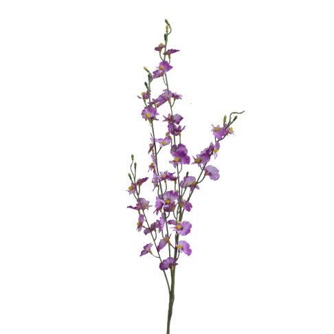 Chuva de Ouro lilás (90cm) - Imagem 2