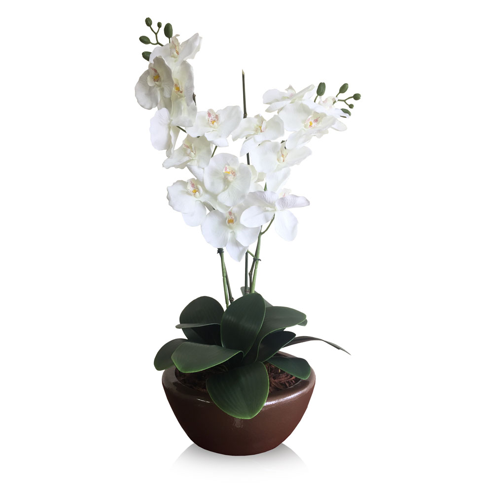 Orquídea Phalaenopsis (1,00m) - Imagem 3