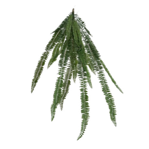 Samambaia Planta Artificial Pendente (1,30m) - Imagem 2