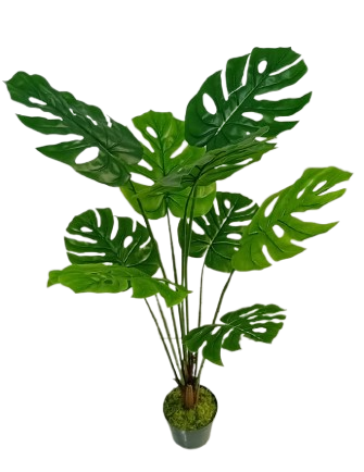 Costela de Adão Árvore Artificial - Imagem 2