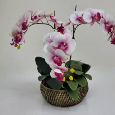 Kit Faça Você Mesmo Arranjo de Orquidea 301