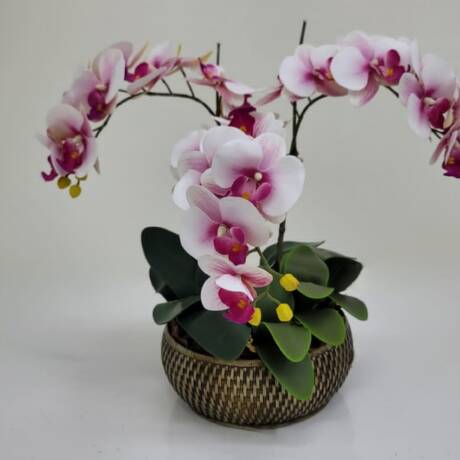 Kit Faça Você Mesmo Arranjo de Orquidea 301