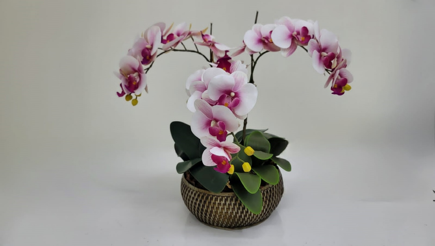 Kit Faça Você Mesmo Arranjo de Orquidea 301
