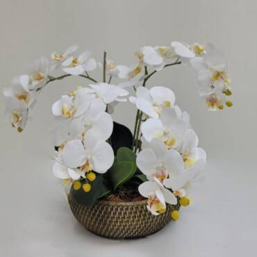 Kit Faça Você Mesmo Arranjo de Orquidea 402