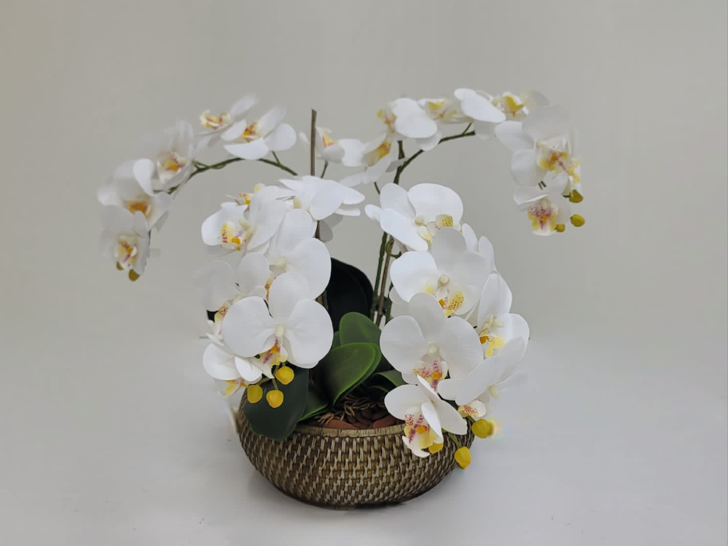 Kit Faça Você Mesmo Arranjo de Orquidea 402
