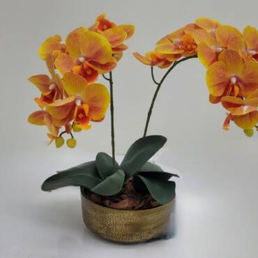 Kit Faça Você Mesmo Arranjo de Orquidea 203