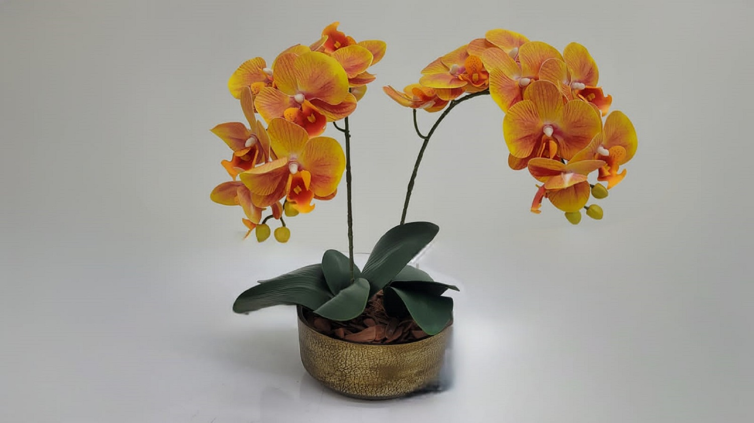 Kit Faça Você Mesmo Arranjo de Orquidea 203