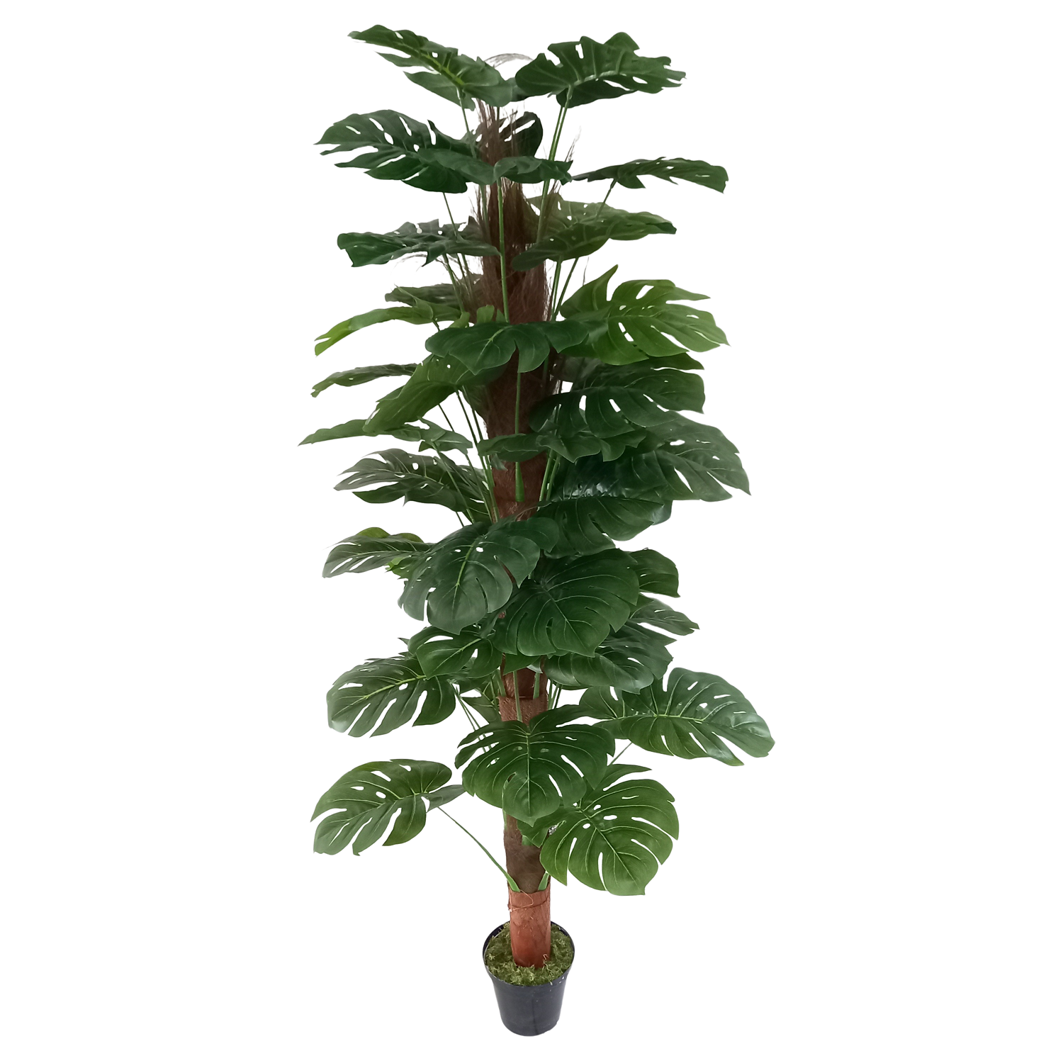 Costela de Adão On Pole Arbusto Artificial (1,60m) - Imagem 2