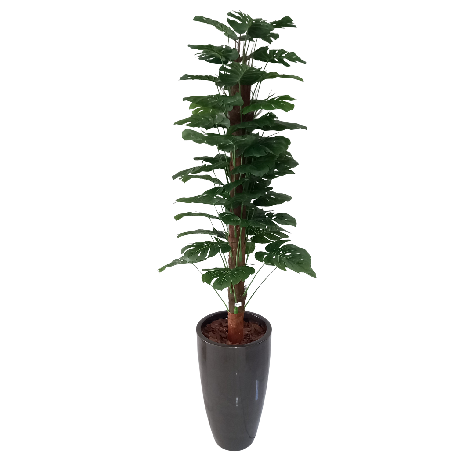 Costela de Adão On Pole Arbusto Artificial (1,60m) - Imagem 3
