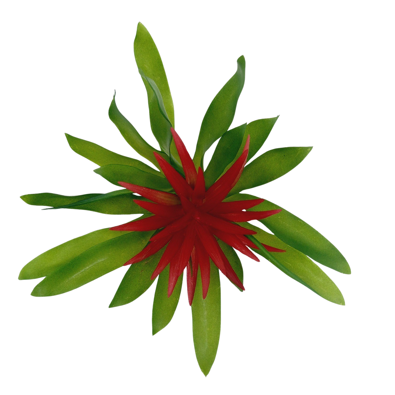 Bromélia Mini Planta Artificial (25cm) - Vermelho - Imagem 3