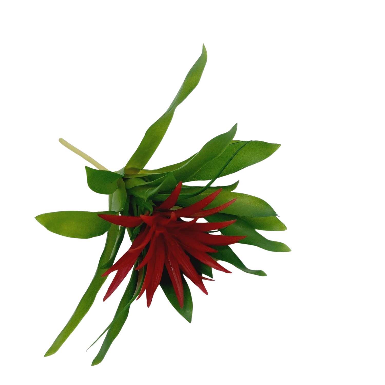 Bromélia Mini Planta Artificial (25cm) - Vermelho - Imagem 4