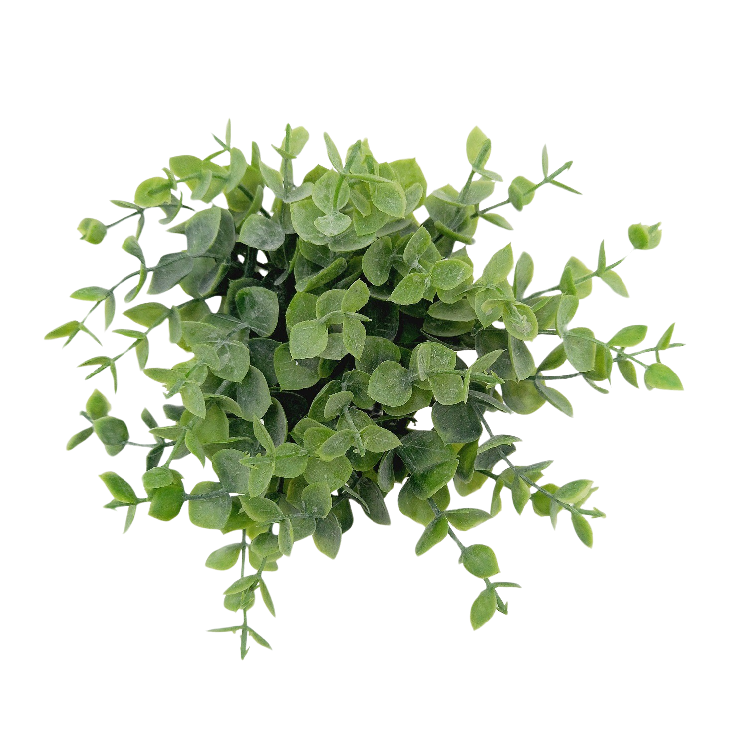 Buquê de Eucalipto Verde Artificial (25cm) - Imagem 2
