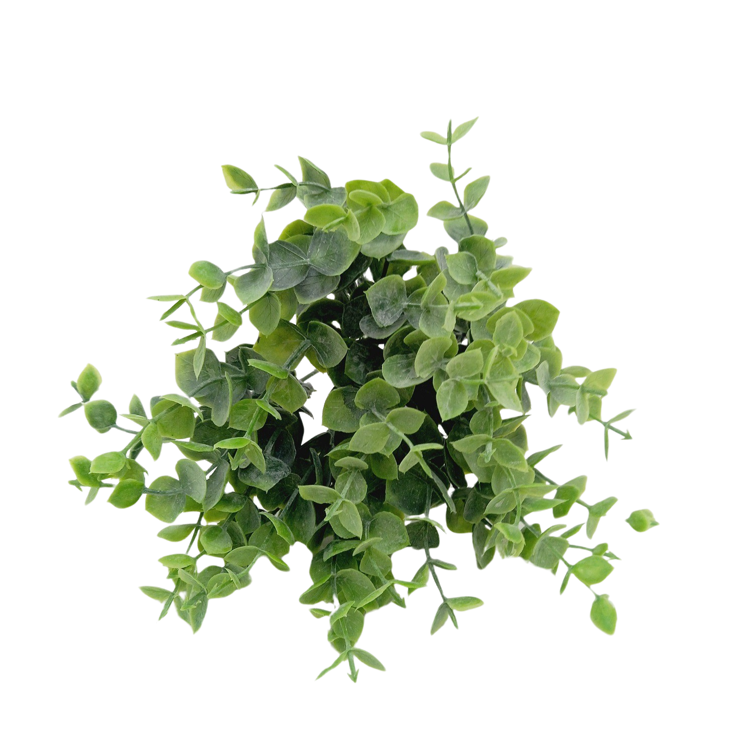 Buquê de Eucalipto Verde Artificial (25cm) - Imagem 3