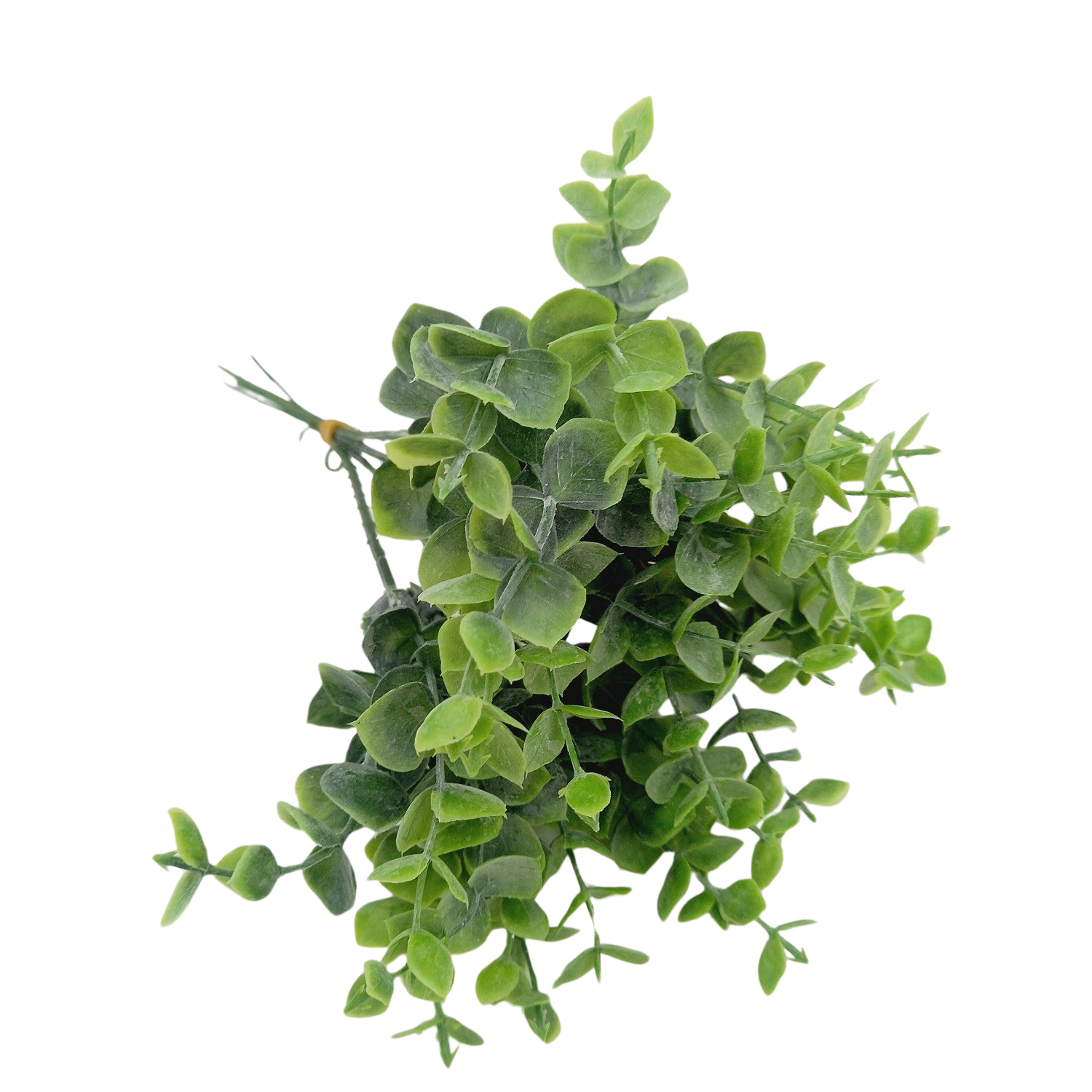 Buquê de Eucalipto Verde Artificial (25cm) - Imagem 4