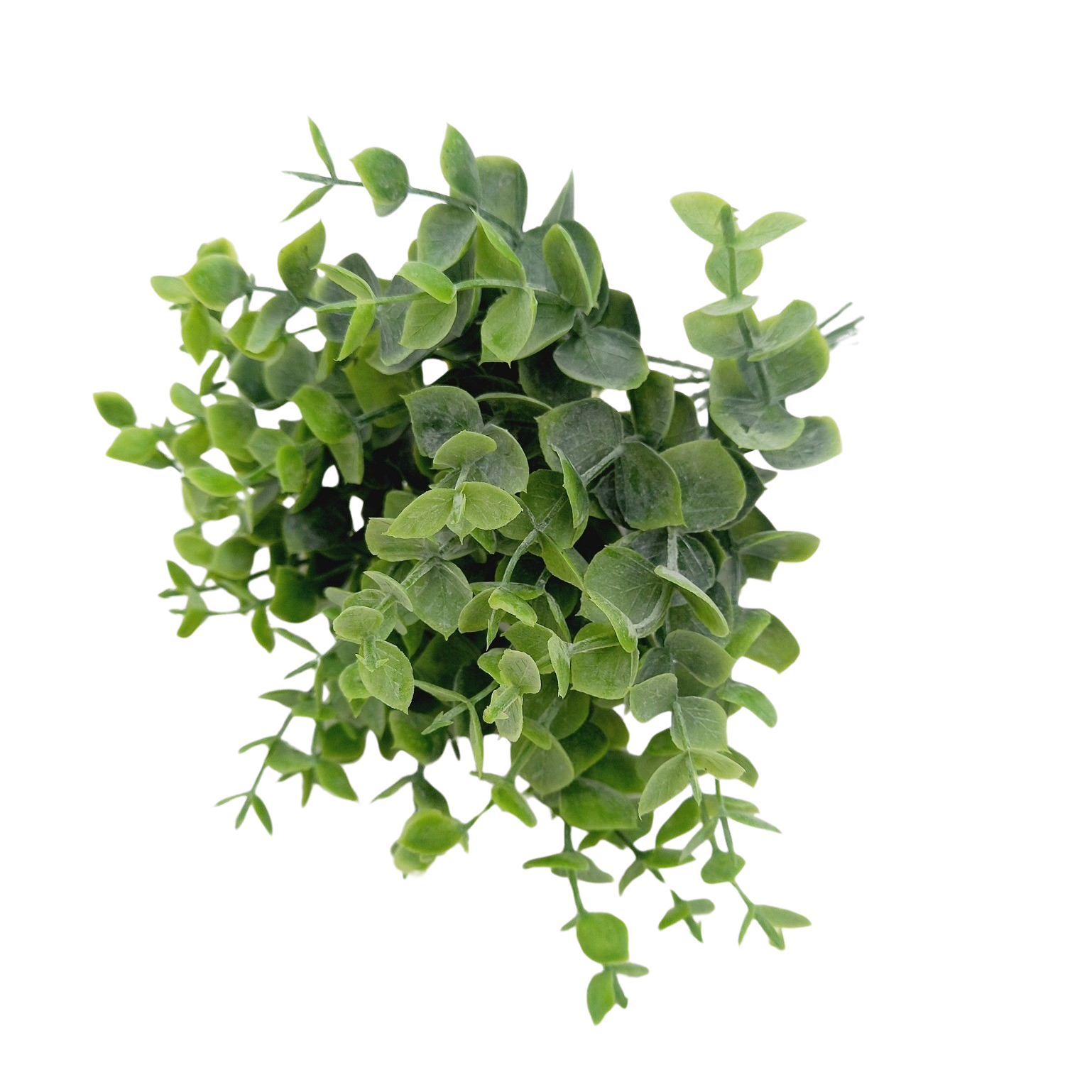 Buquê de Eucalipto Verde Artificial (25cm) - Imagem 5
