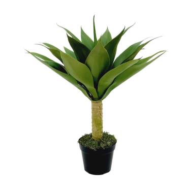 Agave 21 Folhas (46CM) Verde