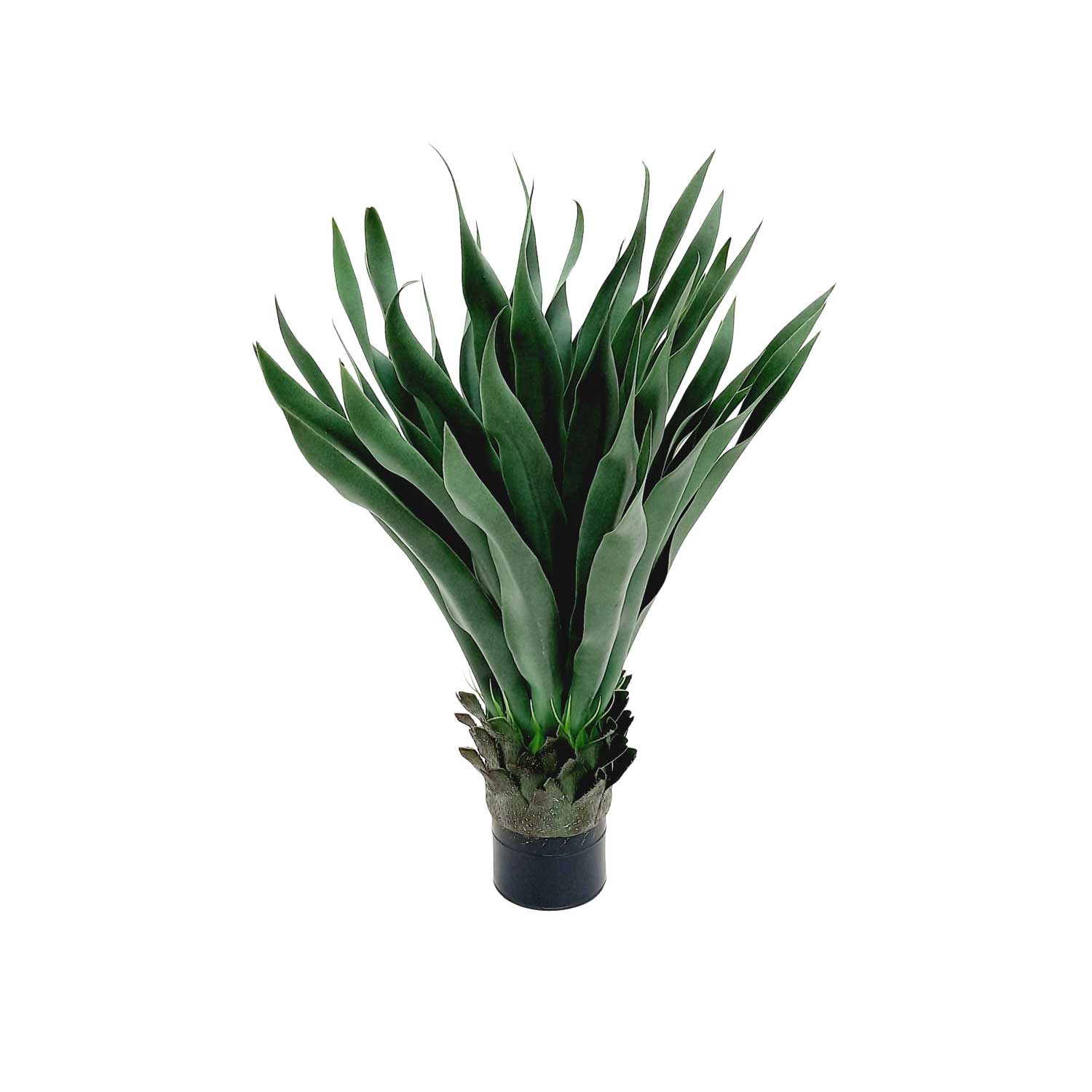 Agave 40 Folhas (70CM) Verde