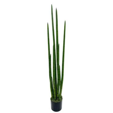 Rabo de Tatu artificial 10 Hastes no pote (1,30m) - Verde