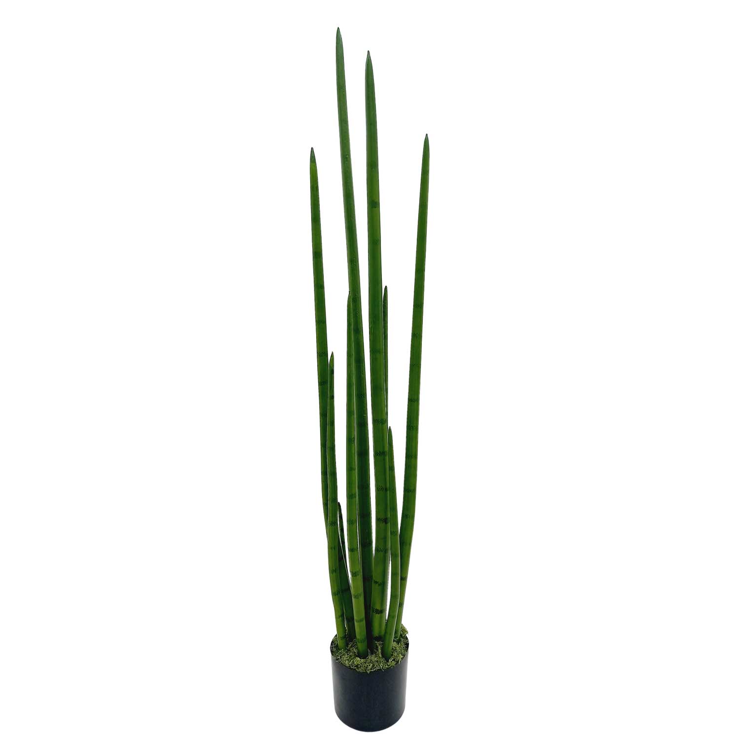 Rabo de Tatu artificial 10 Hastes no pote (1,30m) - Verde