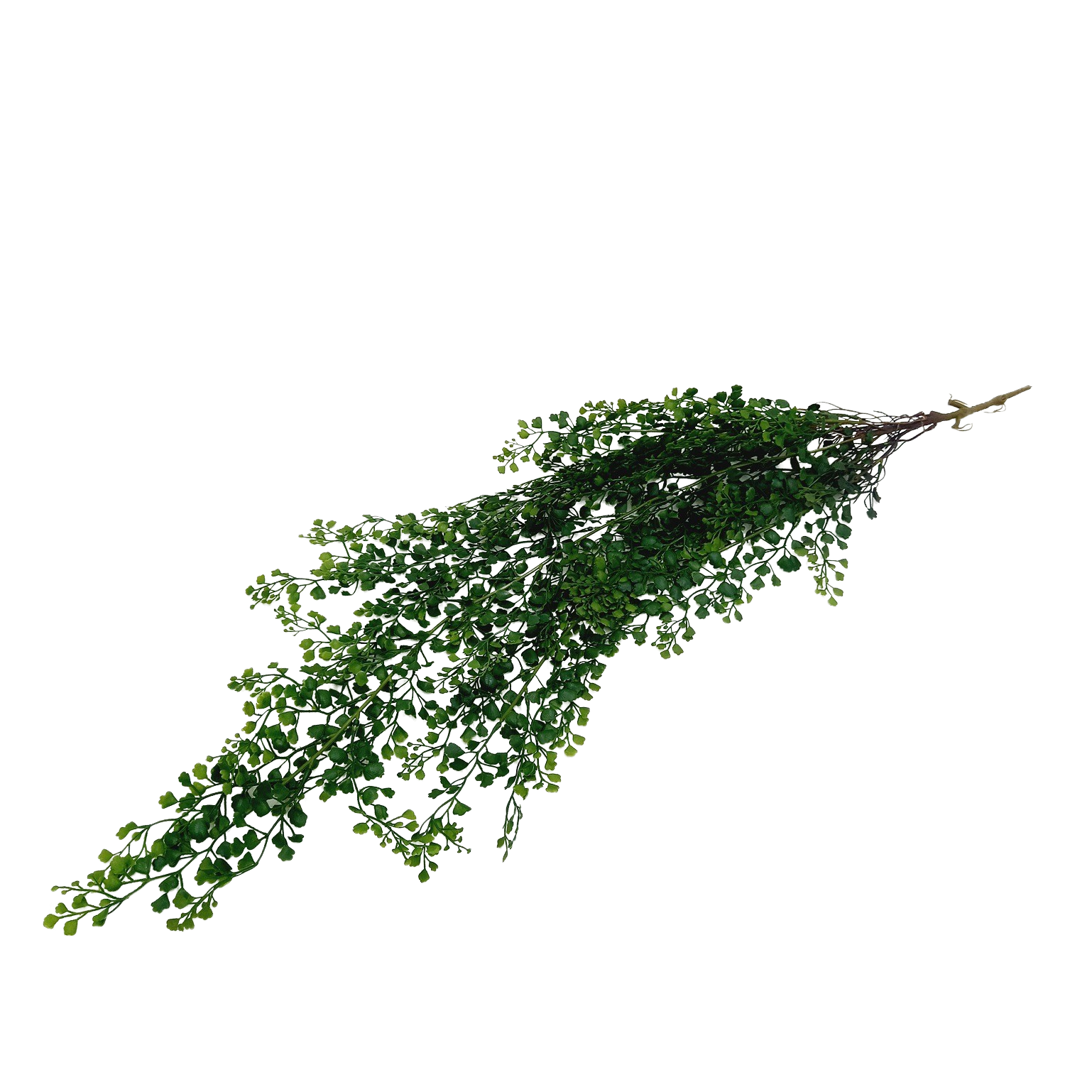 Dólar Folhagem Artificial Pendente (110cm) - Imagem 3