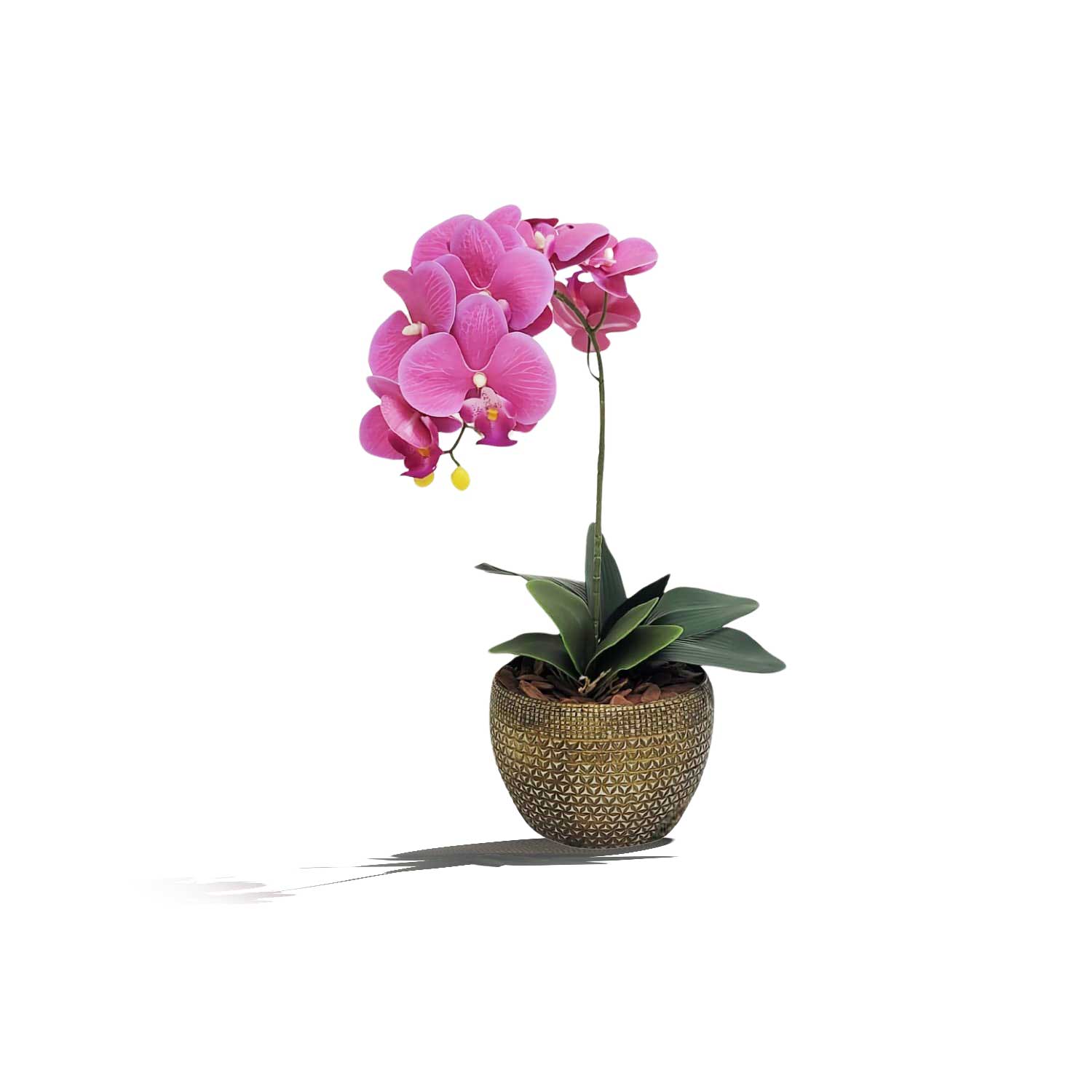 Kit Faça Você Mesmo Arranjo de Orquidea 104 - Imagem 3
