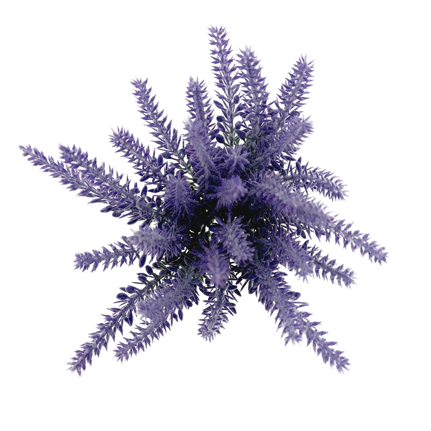 Pick Mini Lavanda Artificial 6H (25cm) - Imagem 4